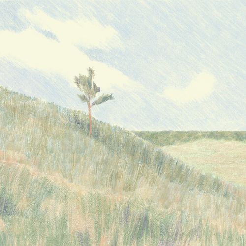 A soft prairie landscape with gentle hills and a lone tree under a pale sky, capturing the atmosphere of Sarah, Plain and Tall and Skylark.